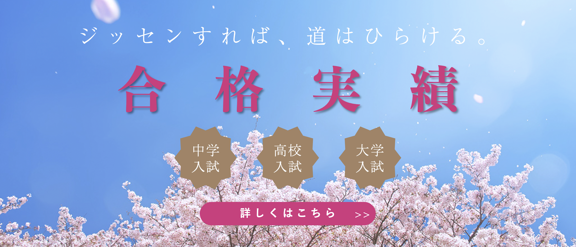 2025年 合格実績